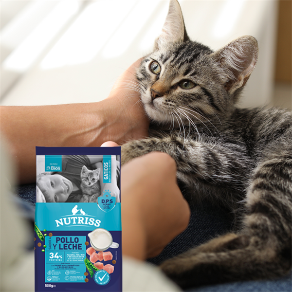 Nutriss Cachorros: nutrición para su primer año