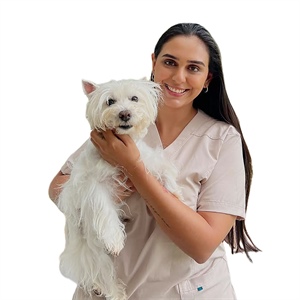 Nutriss Sabores: nutrición para cada etapa de tu perro