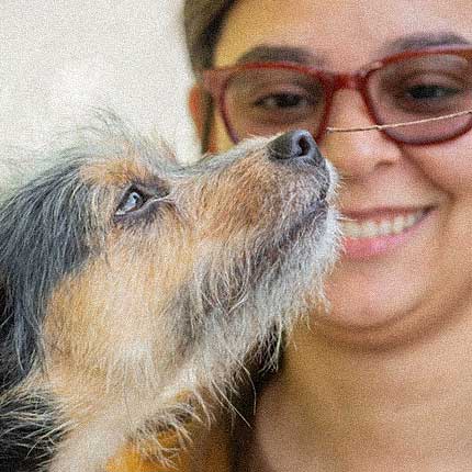 Historia de sara y kitara