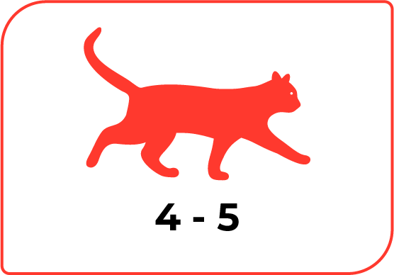 normal-icon