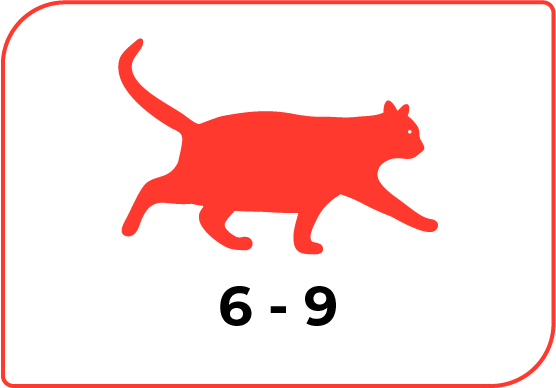 sobrepeso-icon