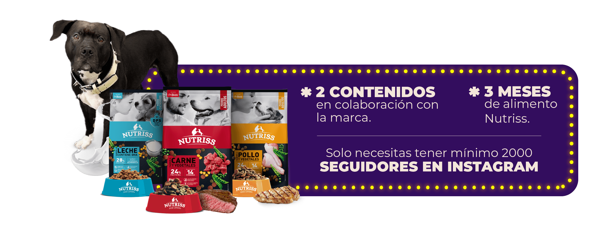 kit-ganador-concurso-el-mas-famosos-de-la-casa