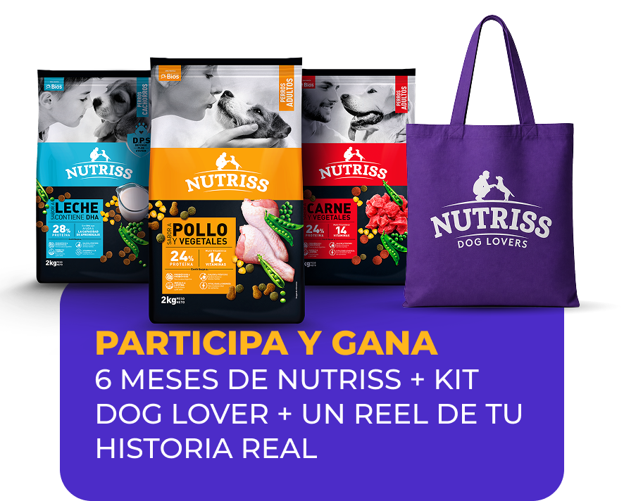 premio concurso nutriss