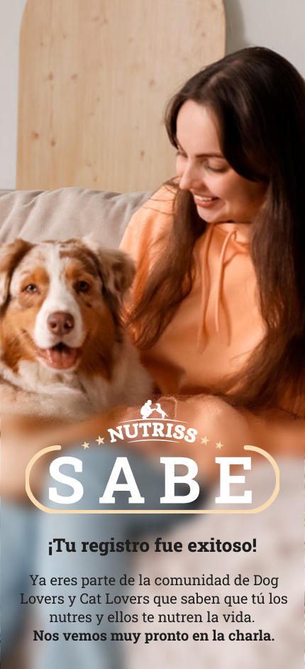 Confirmación Registro Webinar