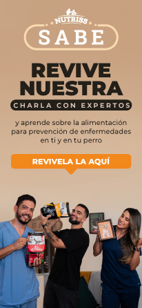 NP - Revive tu webinar