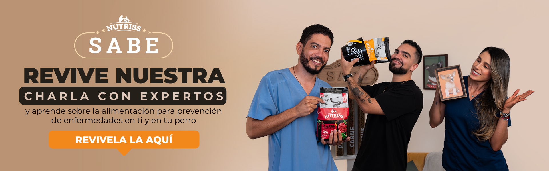 NP - Revive tu webinar