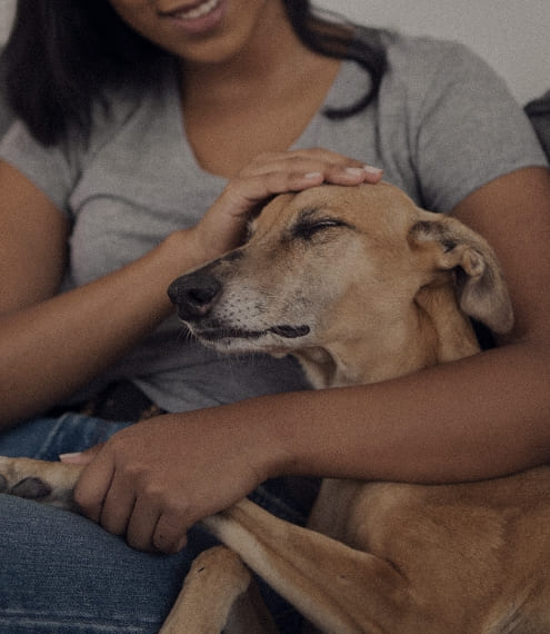 BANNER: LA IMPORTANCIA DE MEDIR EL ALIMENTO PARA TU PERRO