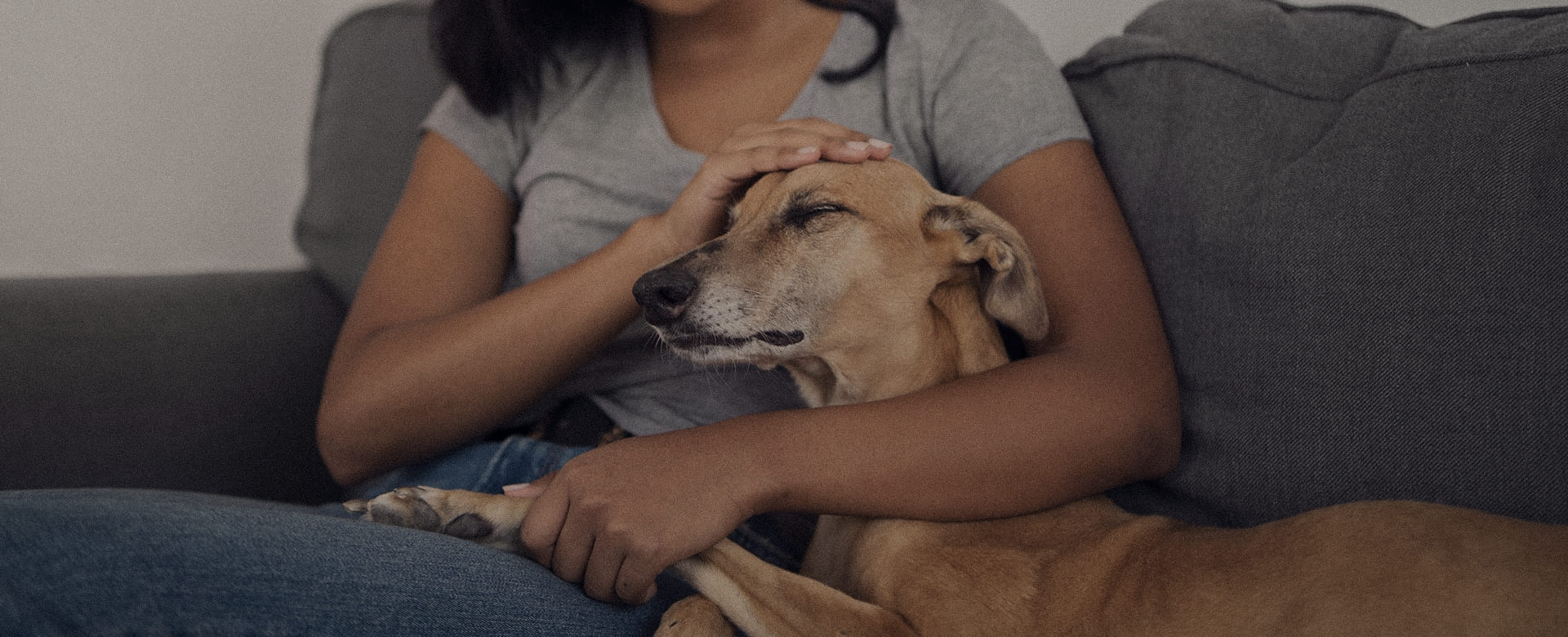 BANNER: LA IMPORTANCIA DE MEDIR EL ALIMENTO PARA TU PERRO