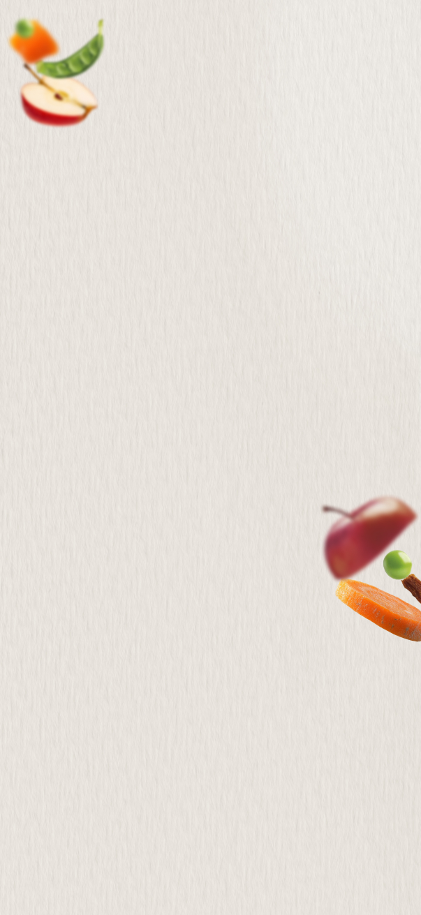 Nutriss al Natural alimento natural para perros