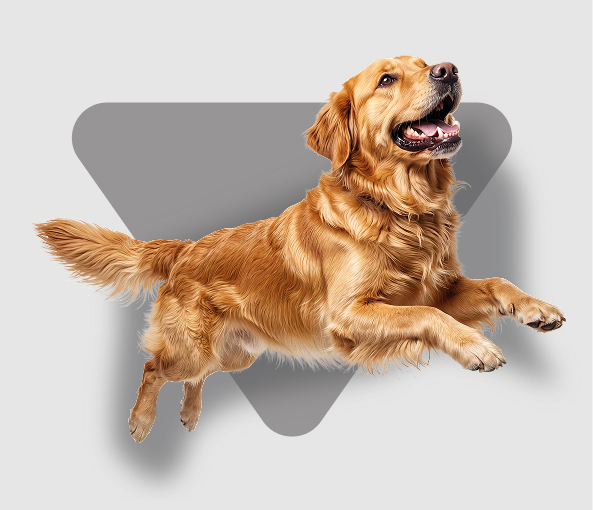 Perro adulto nutriss tribalance