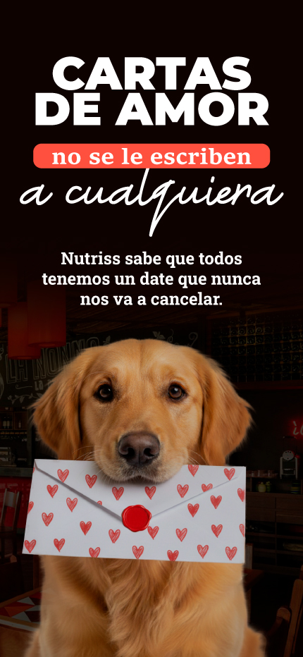 NP - IFORNO CARTAS DE AMOR