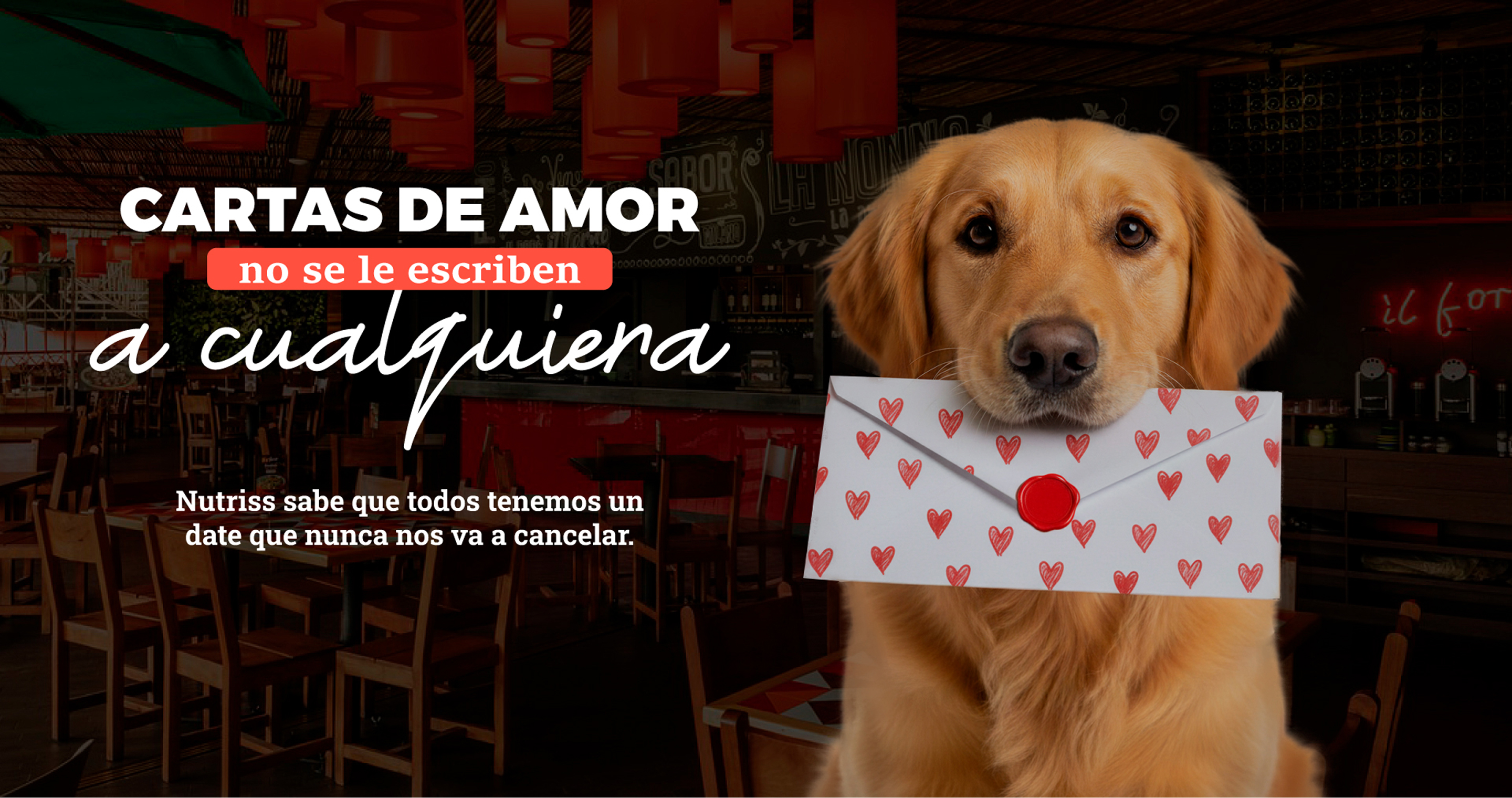 NP - IFORNO CARTAS DE AMOR