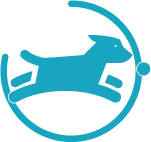 VITALIDAD Y ENERGÍA