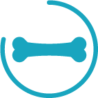 HUESOS Y DIENTES FUERTES